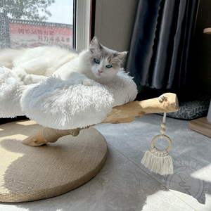 フラワー キャットタワー