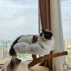 フラワー キャットタワー