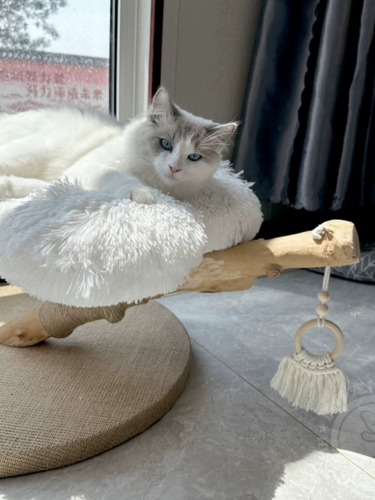 フラワー キャットタワー